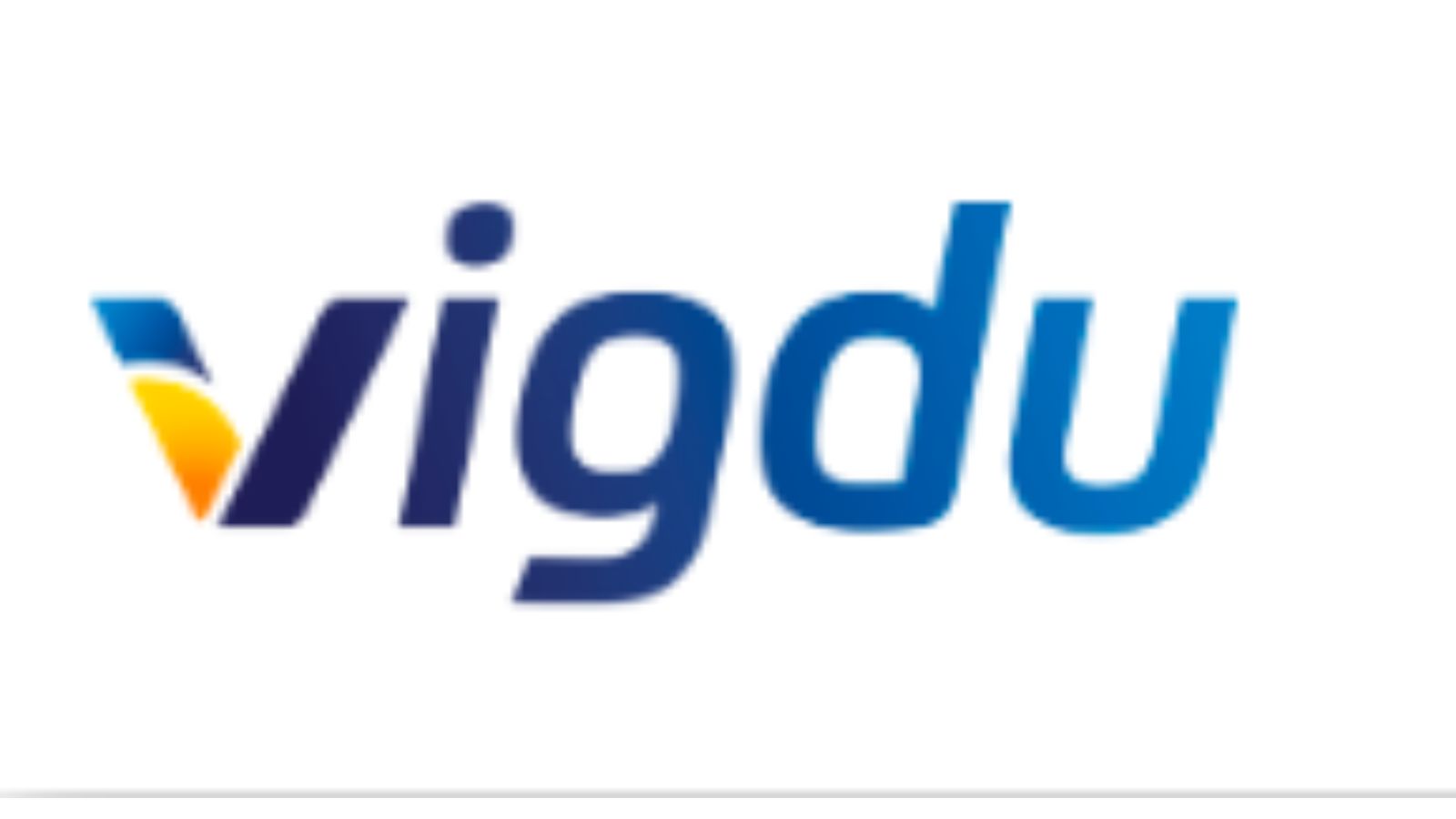 Vigdu，提升光伏效率的解決方案