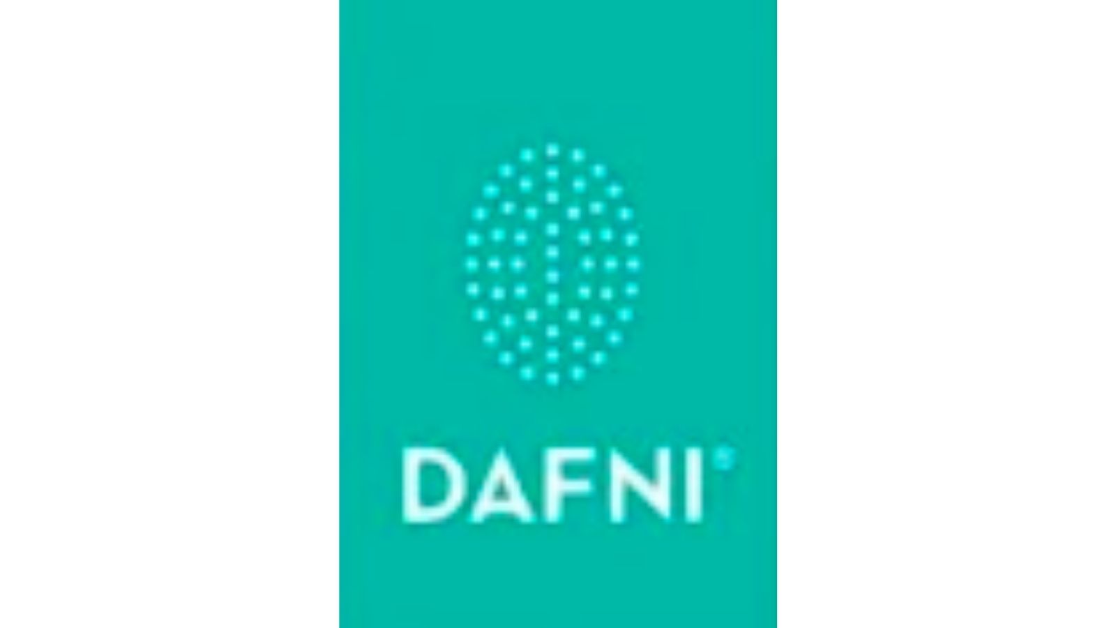 DAFNI,世界第一款直發(fā)梳
