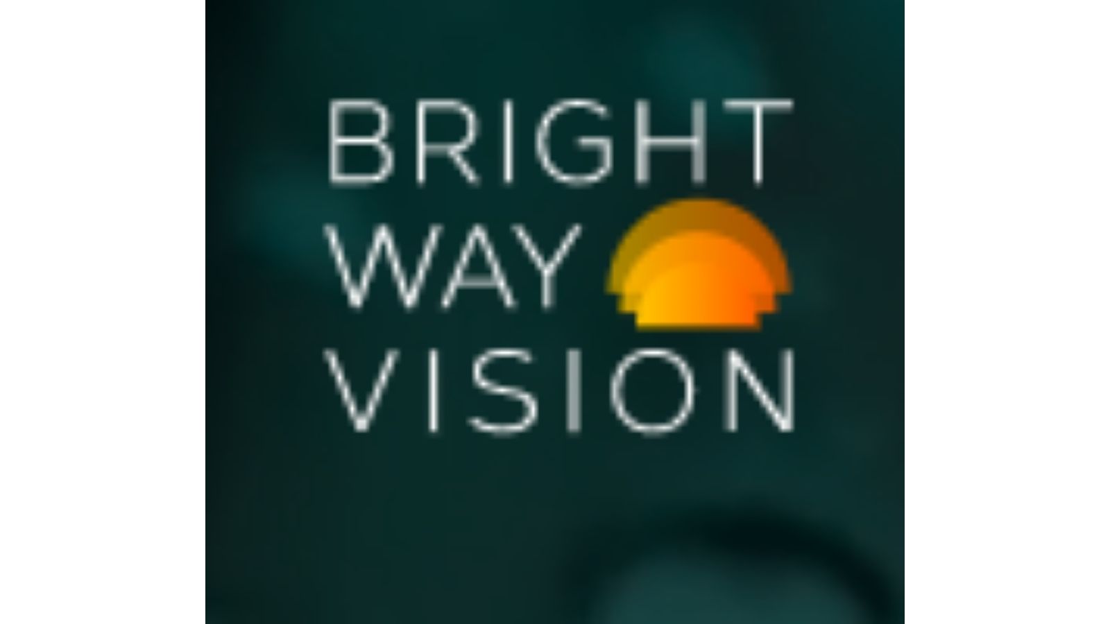 Bright Way Vision，一家以色列智能汽車解決方案的提供商
