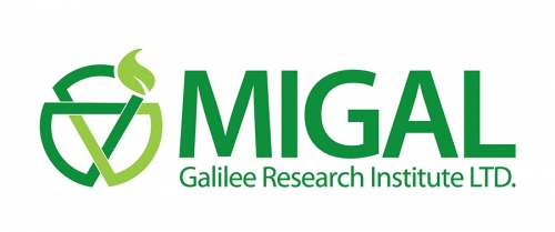 MIGAL——以色列研究機構(gòu)
